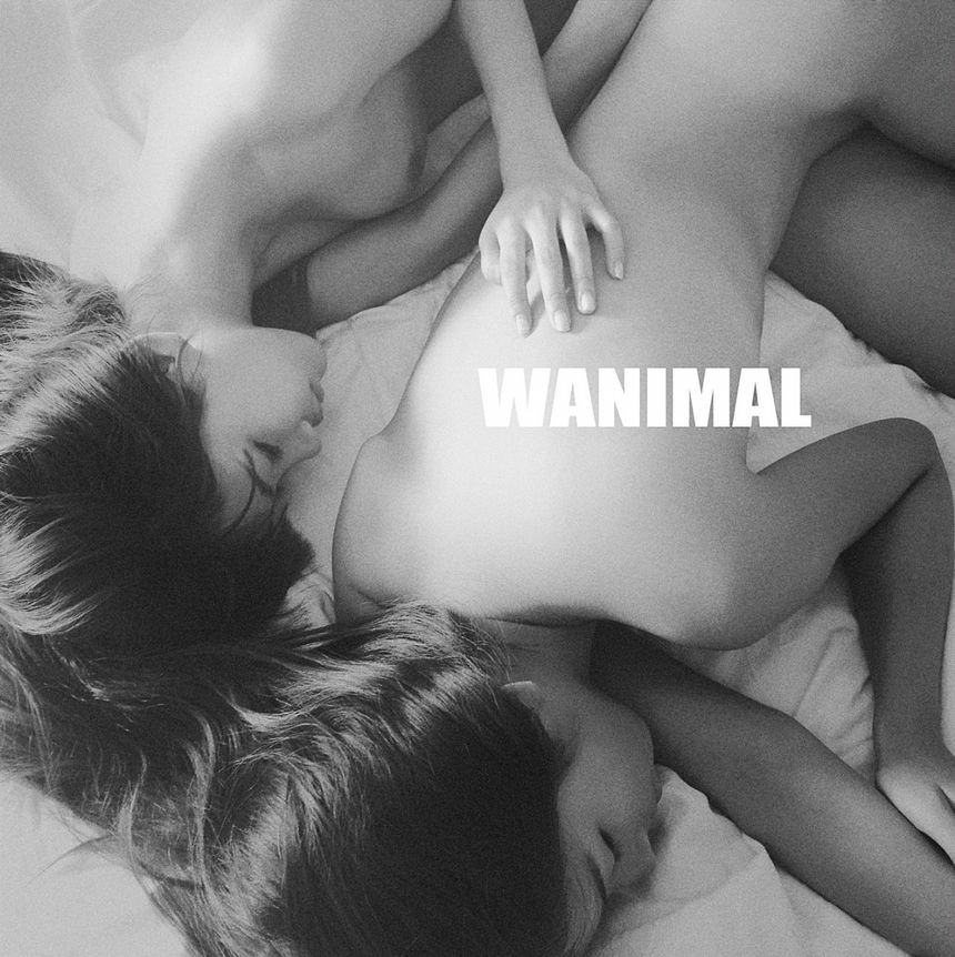 ͼ[125P] WANIMALƷ ʥ 1ҳ